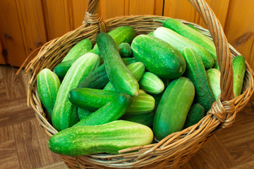 Cucumbers
