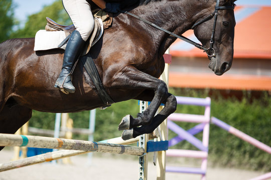 Horse rider jumping