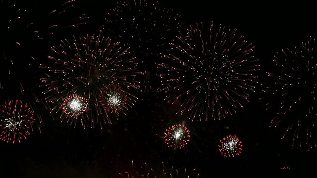 Brightly Colorful Fireworks in the Night Sky