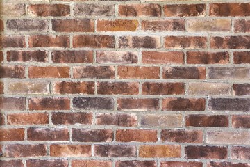 Obraz premium Bricks.