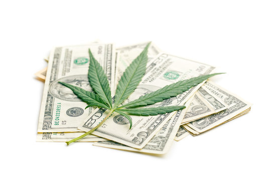 Cannabis Leaf And Money