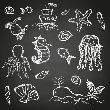 fish and sea life hand drawn doodle icons set on black board eps10