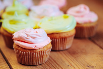 Dessert Sweet Gourmet Cupcakes With Multi-colored Frosting
