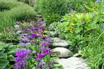 Stone steps going through charming English cottage garden full of colourful flowers and shrubs - 89926855