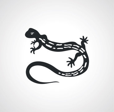 outline drawing black isolated lizard