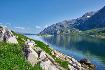 Naklejka na ściany i meble Norwegian fjord mountain landscape