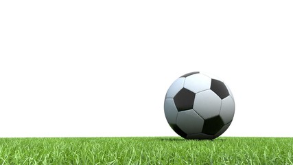 Fototapeta premium ballon football pelouse 03