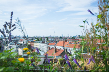 Fototapeta premium Blick über Berlin-Neukölln in Richtung Mitte mit Fernsehturm. 