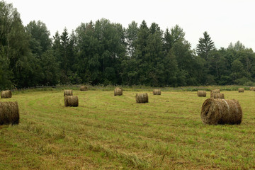 mown grass field stacks