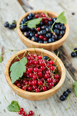 Fresh currant in bowls