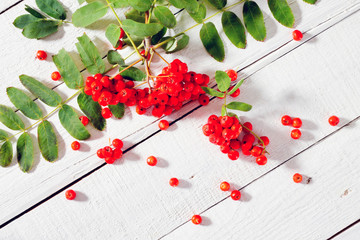 Rowan beads and a branch of a mountain ash on a white wooden bac