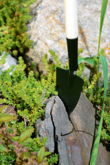 garden tools rake shovel