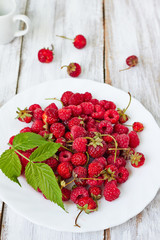 Summer fresh berries