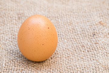 egg on the sack background