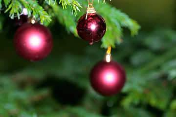 decorated Christmas tree balls