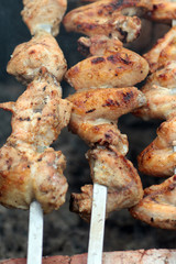 Chicken on the grill to cook