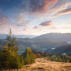 Beautiful Autumn in Mountains at sunset time. Trees,  peaks, clo