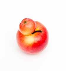 Red double Conjoined apple on white background