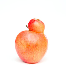 Red double Conjoined apple on white background