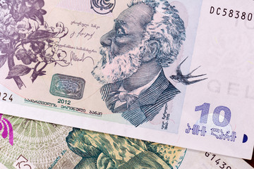 Banknote 10 GEL, 2008