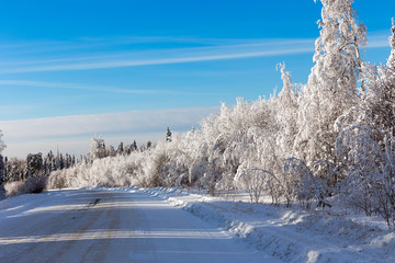 Turning the winter road among snowy taiga