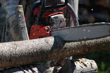 chainsaw to cut firewood