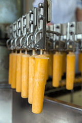 Automatic production line of fruit ice