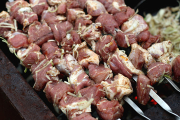 meat skewers on the barbecue coals