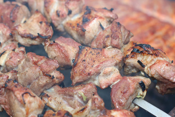 meat skewers on the barbecue coals