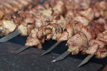 meat skewers on the barbecue coals