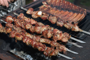 meat skewers on the barbecue coals