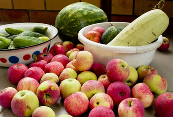 the harvest of fruits and vegetables