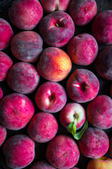 Fresh picked peaches on wooden background