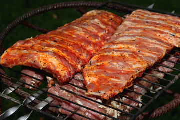 meat skewers on the barbecue coals
