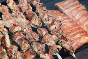 meat skewers on the barbecue coals