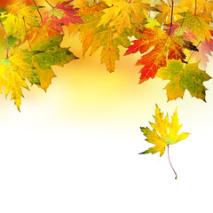 Goldener Herbst: Fallende, bunte Blätter :)