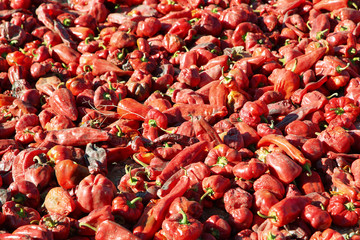 Views of sweet red peppers drying in Cachi,