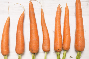 Selections of raw fresh organic carrots on a light wooden work surface