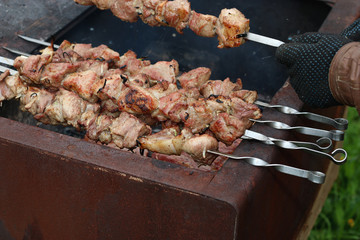 meat skewers on the barbecue coals