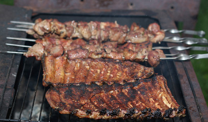 meat skewers on the barbecue coals