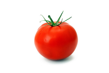 Tomato isolated in white