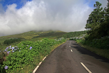 Azoren Faial Portugal 