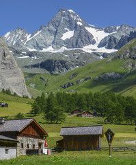 Fototapeta na wymiar Paradies auf der Alm - Osttirol-Großglockner