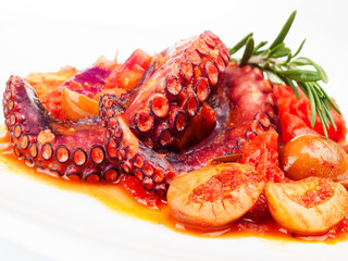 Octopus with tomato sauce and olives