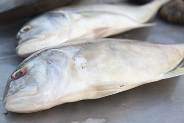 Fresh seafood