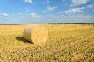 Fototapeta premium Haystack in the field
