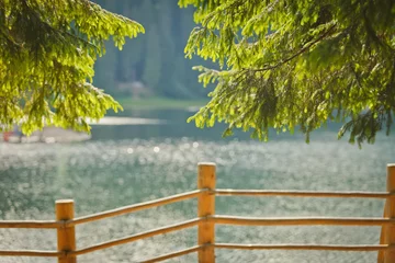 Foto auf Acrylglas Blur background landscape with a lake and a pine branch © sasharec