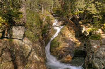 Obraz premium Der Pieniny Nationalpark .