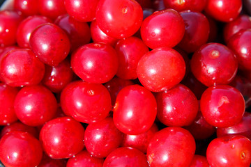 Appetizing red cherries
