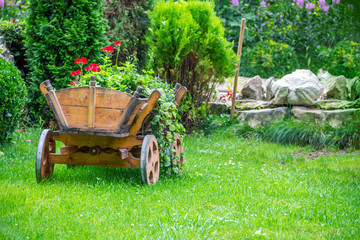 Cart with beautiful flowers